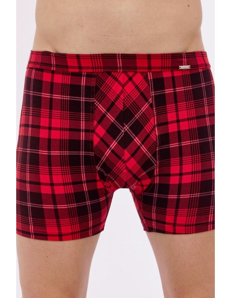 Boxer shorts prime 904 3-5xl j/24 Cornette