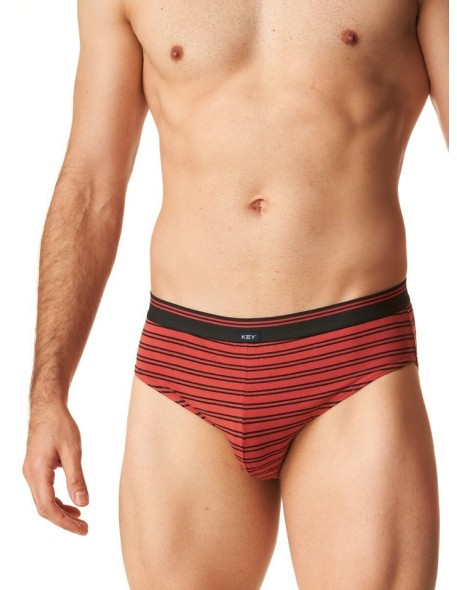 Men's briefs Key MPP 321 multipack 2-pack 