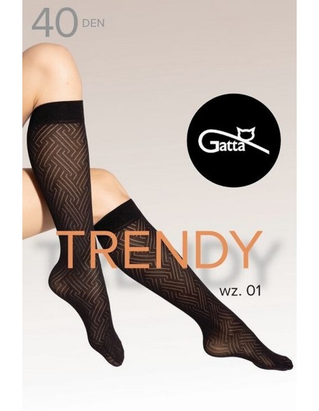 Gatta podkolanówki Trendyline Knee Socks 01 40 den 